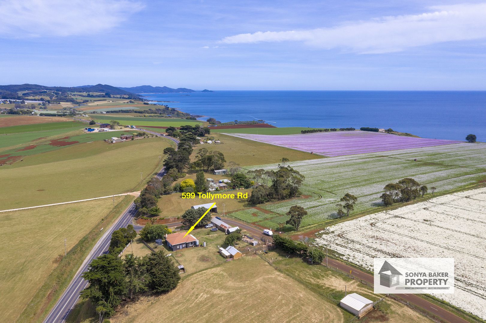 599 Tollymore Road, Table Cape TAS 7325