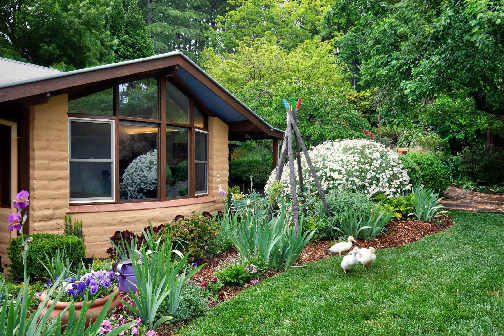 Additional image 16 of 38 Jamieson Street, Wentworth Falls NSW 2782