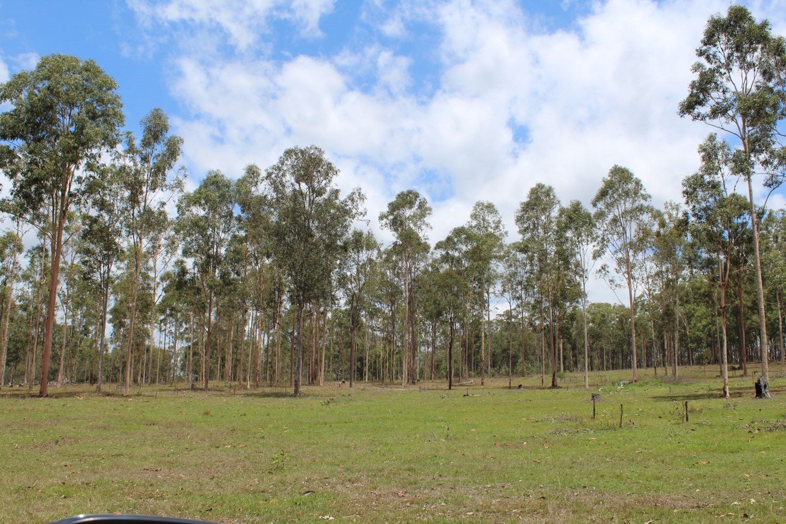 Lot 156 - 529 Netherby Road, Gundiah QLD 4650, Image 2