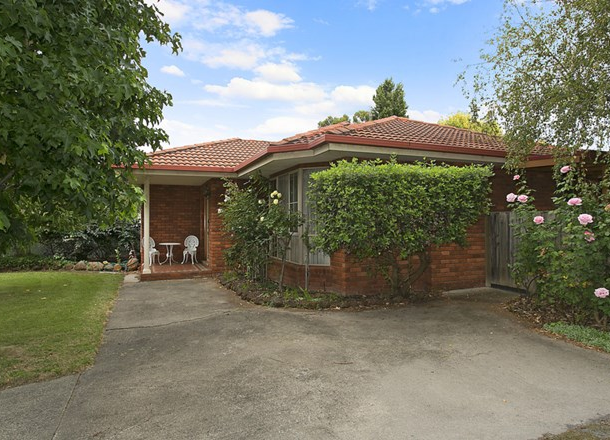 6 Hampden Street, Terang VIC 3264