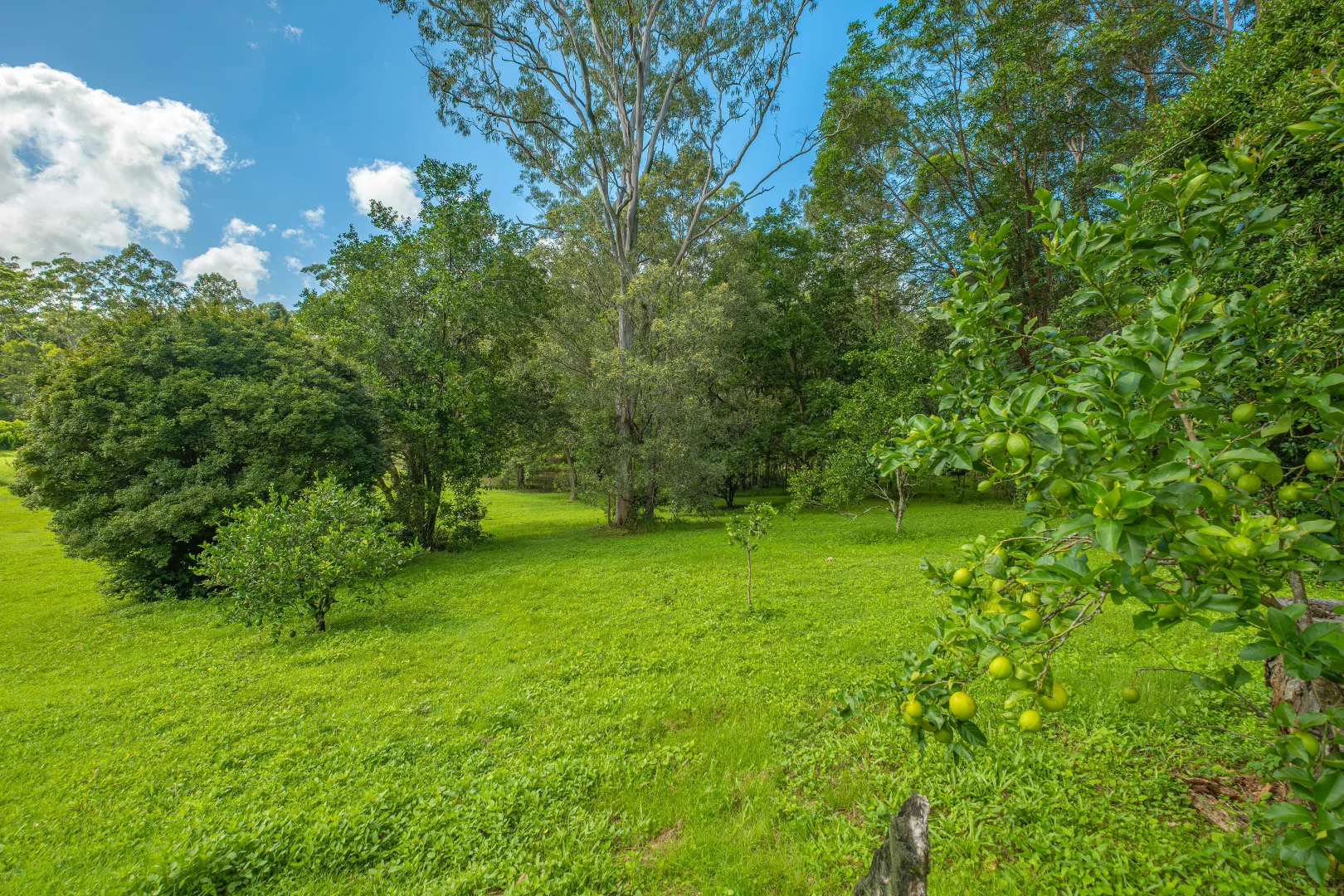 Additional image 19 of 117 Neusavale Road, Wolvi QLD 4570