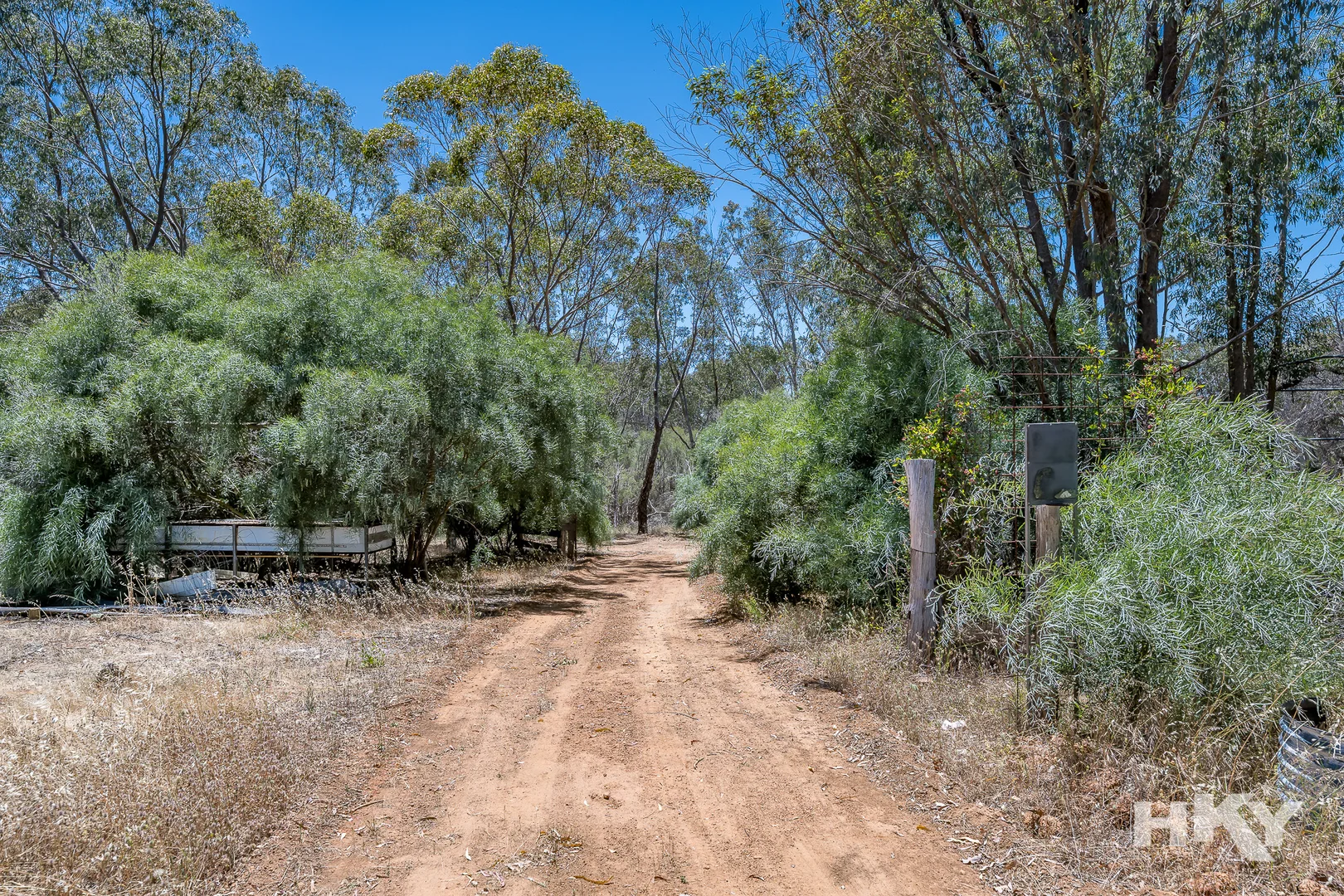 Image 7