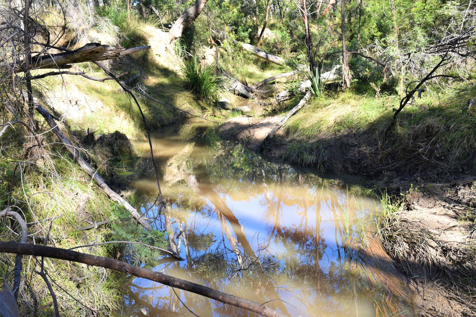 Rural in 29 Catarrh Creek Road, TORRINGTON NSW, 2371