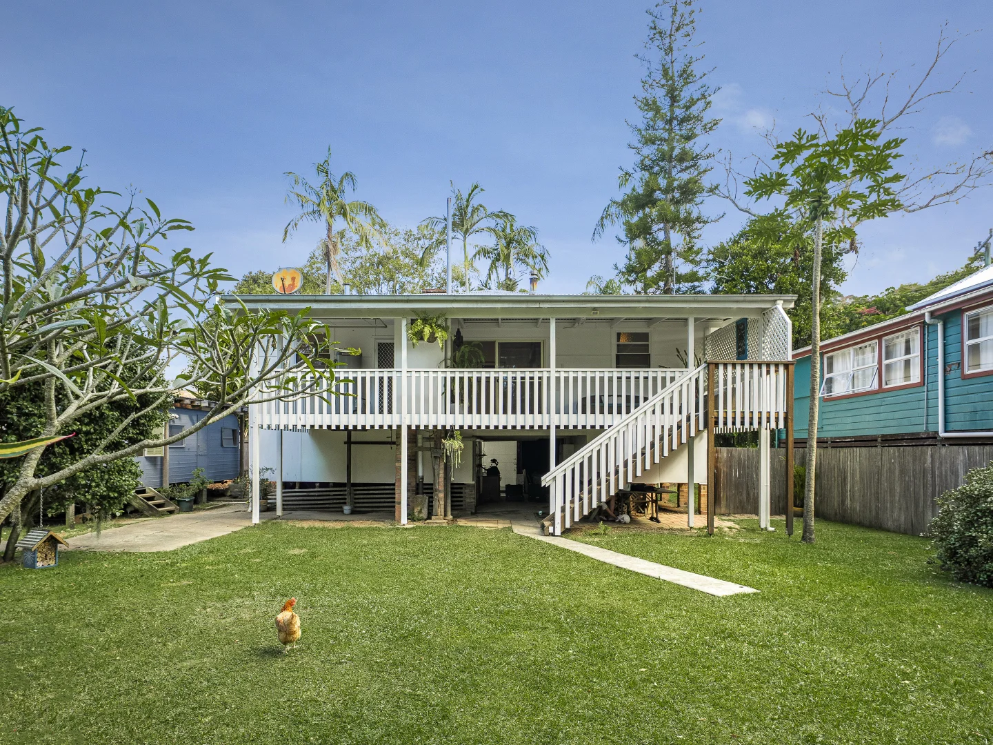 Image 5