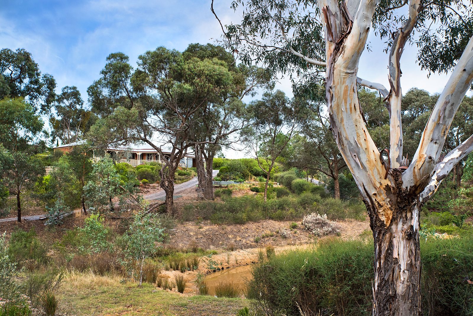 1 Cooper Court, Campbells Creek VIC 3451, Image 1