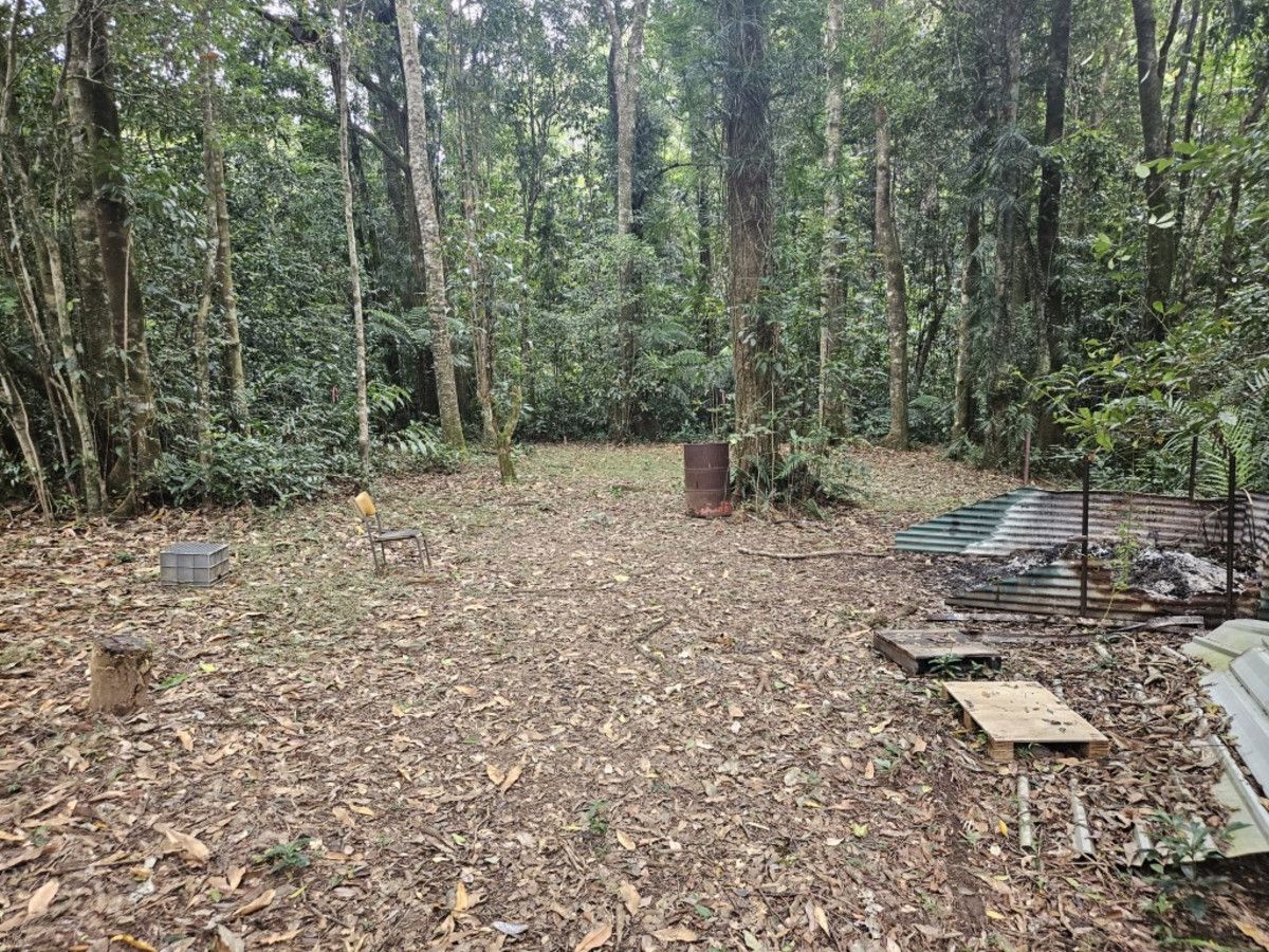 21 Mount Spec Road, Paluma QLD 4816, Image 1