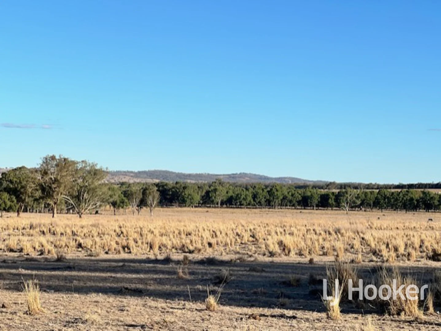 Additional image 20 of 296 Limestone Road, Inverell NSW 2360