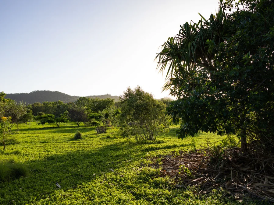 Image 12