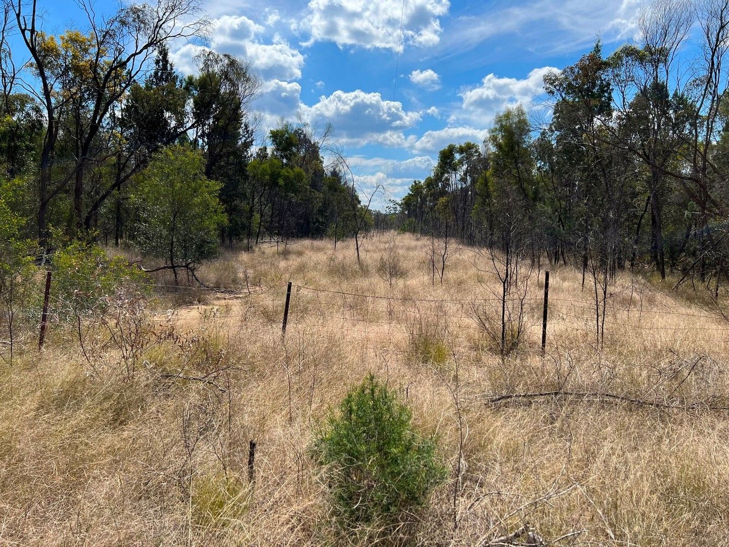 Lot 40 South Road, Tara QLD 4421, Image 0