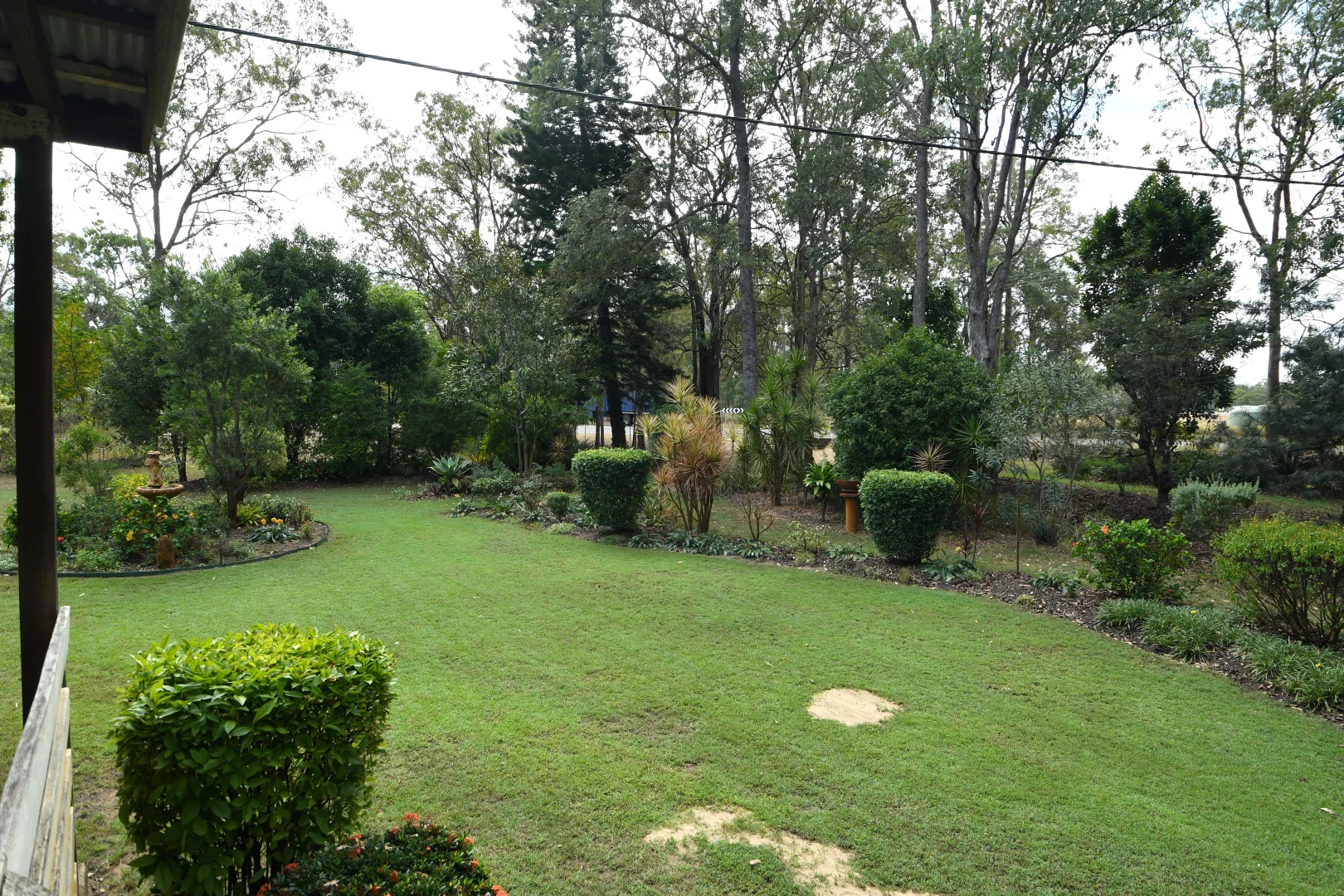 Image 19