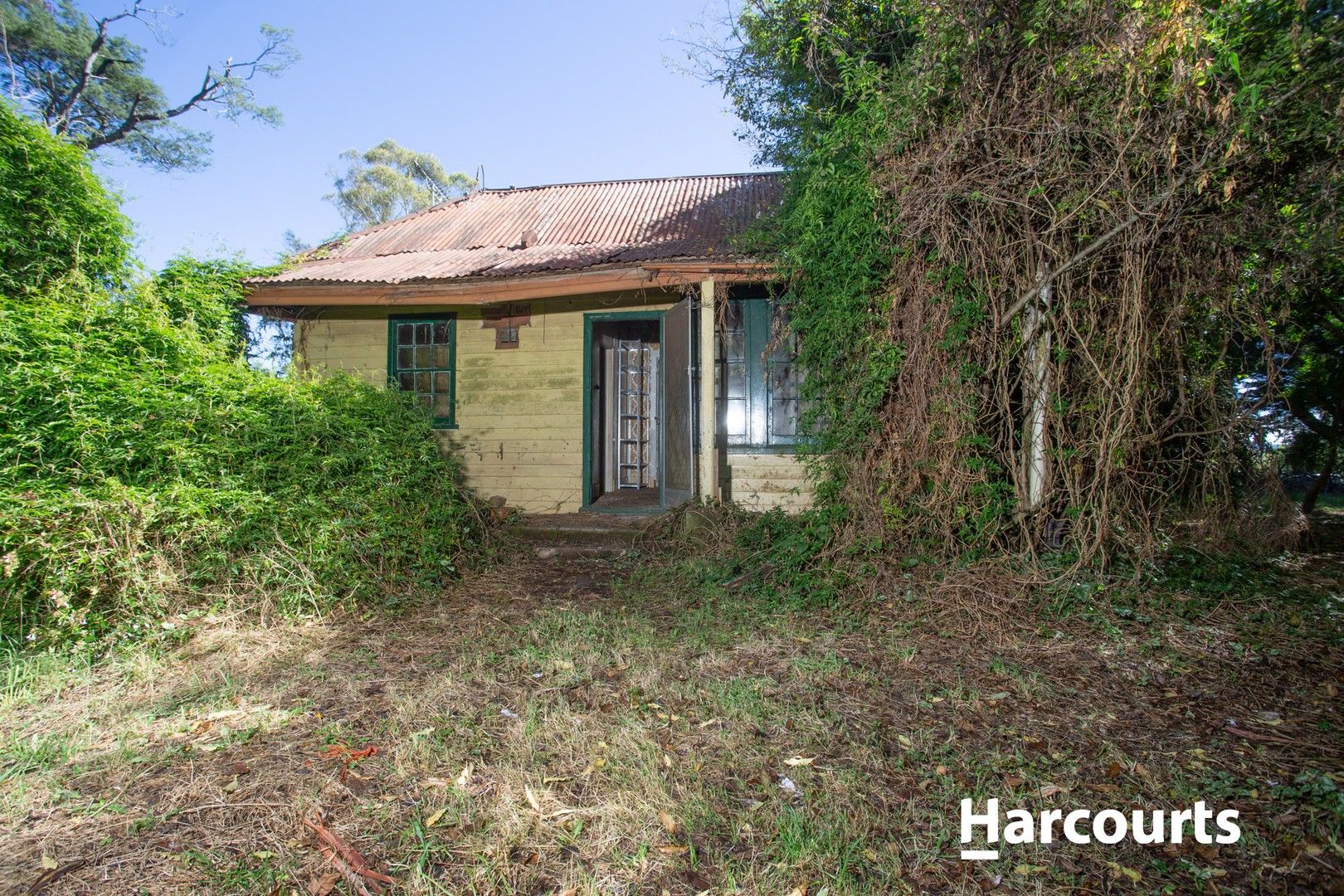 11 Briseis Esplanade, Ringarooma TAS 7263, Image 0