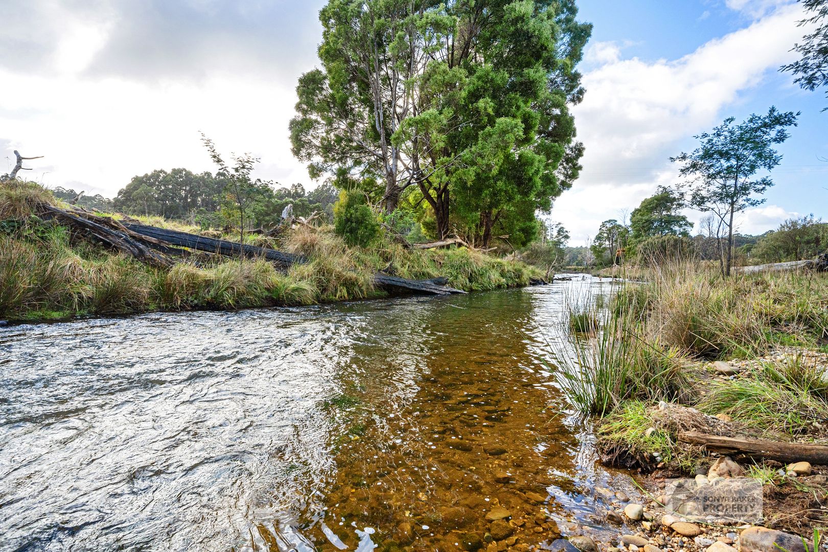 173 Pages Road, Calder TAS 7325, Image 1