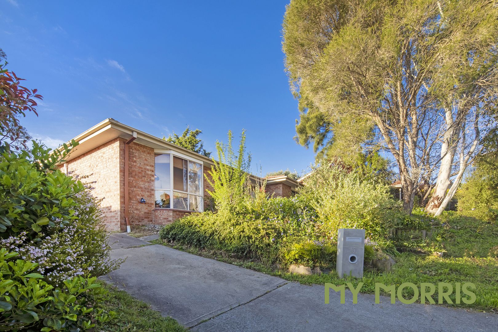 61 Downard Street, Calwell ACT 2905, Image 2