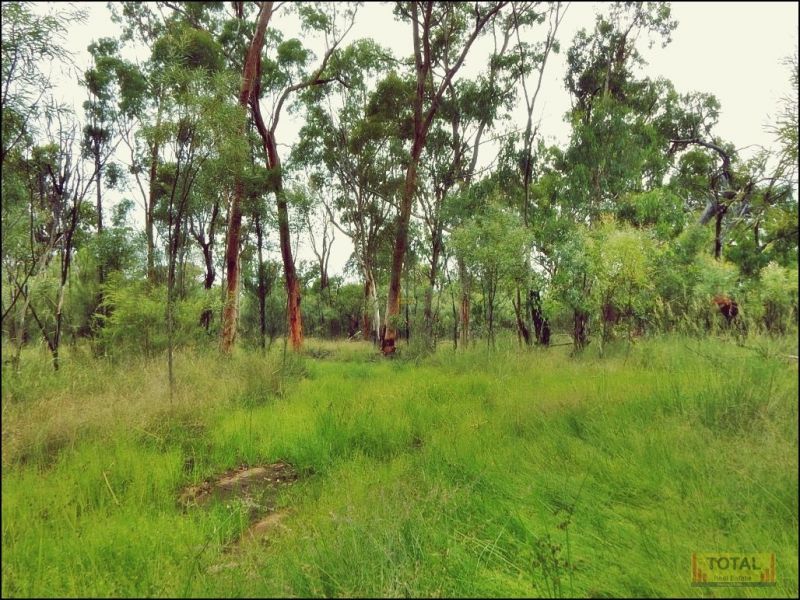 Condamine Farms QLD 4357 Vacant Land for Sale Domain