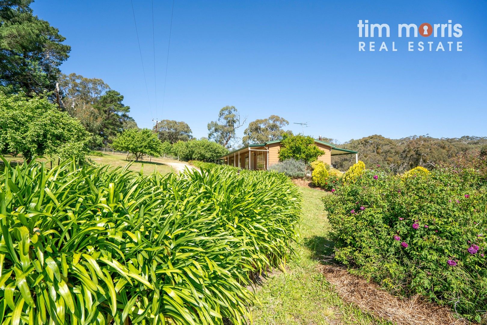 214 Peters Creek Road, Kangarilla SA 5157, Image 0