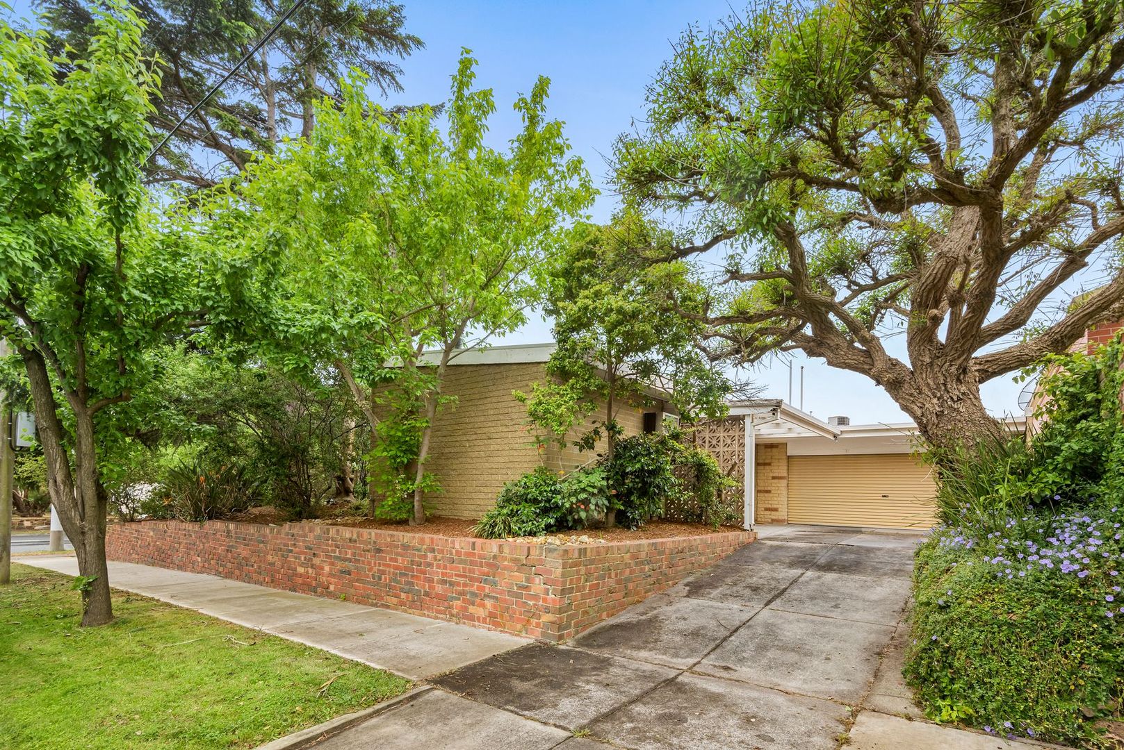 422 Mont Albert Road, Mont Albert Property History & Address Research