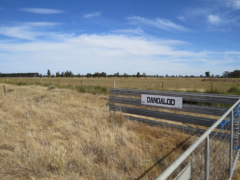 "Dandaloo" Moonee Swamp Road, Deniliquin NSW 2710, Image 2