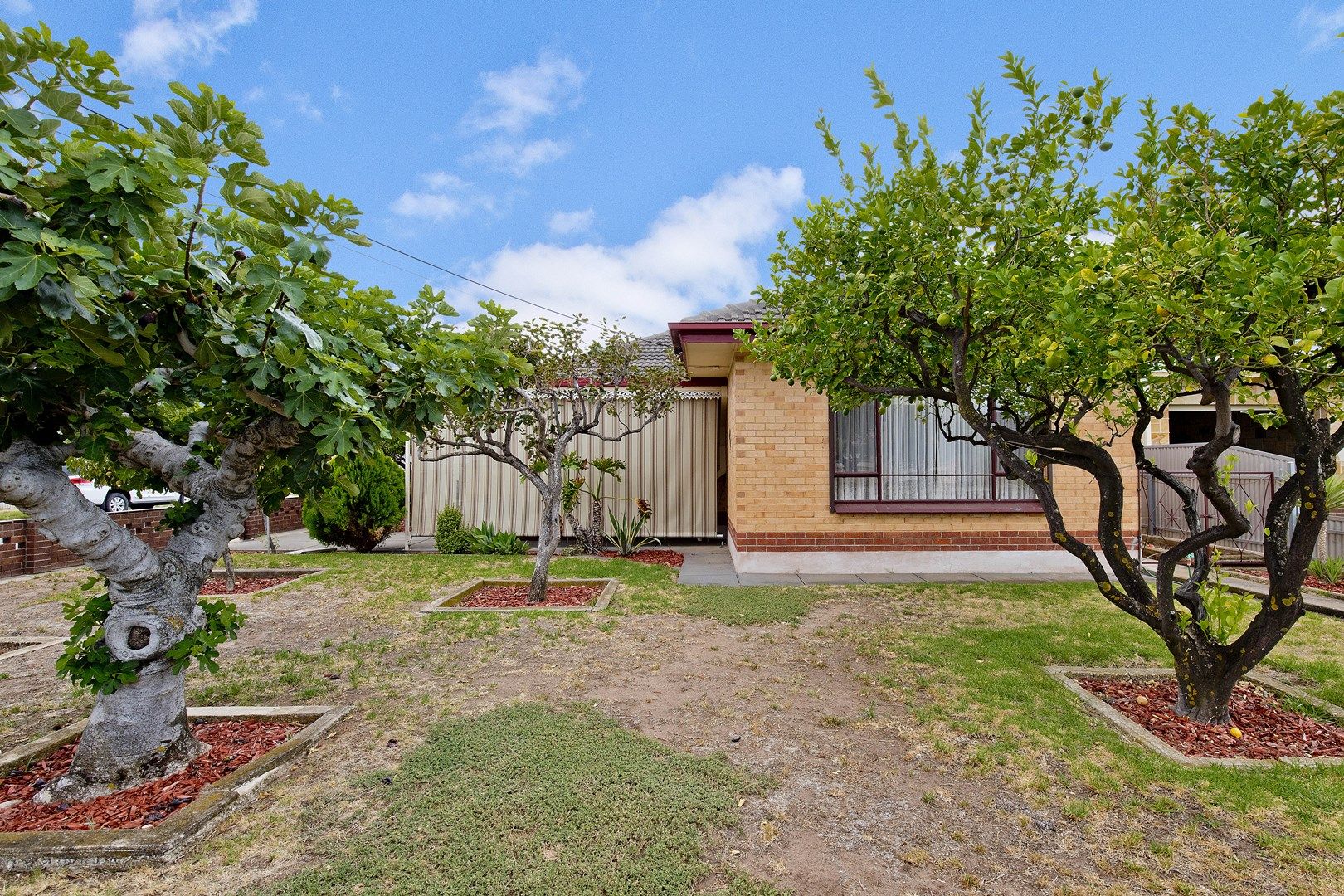 33 Norman Street, Findon SA 5023, Image 0