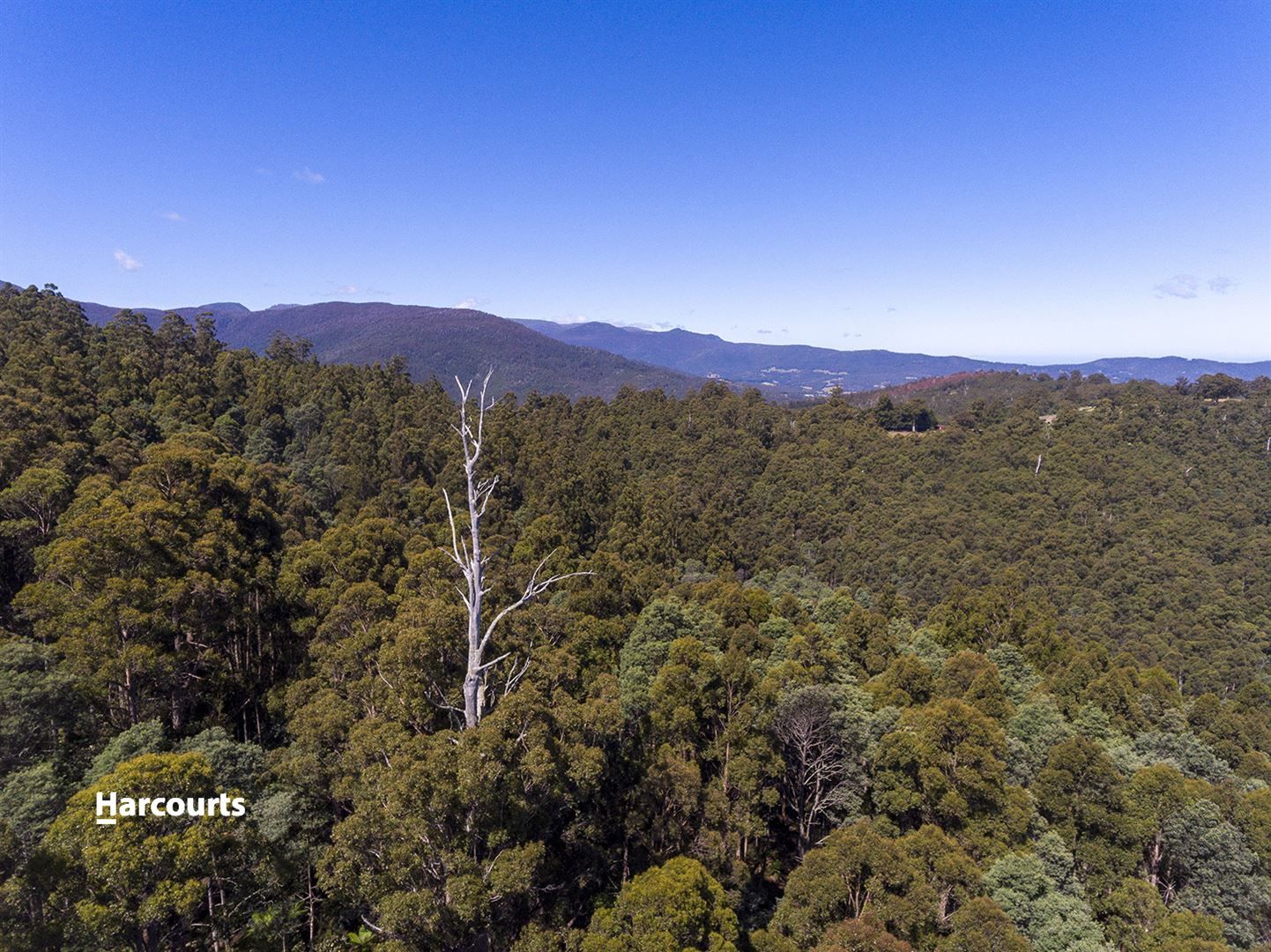 Lot 1 & 7 Bakers Creek Road, Lucaston TAS 7109, Image 0