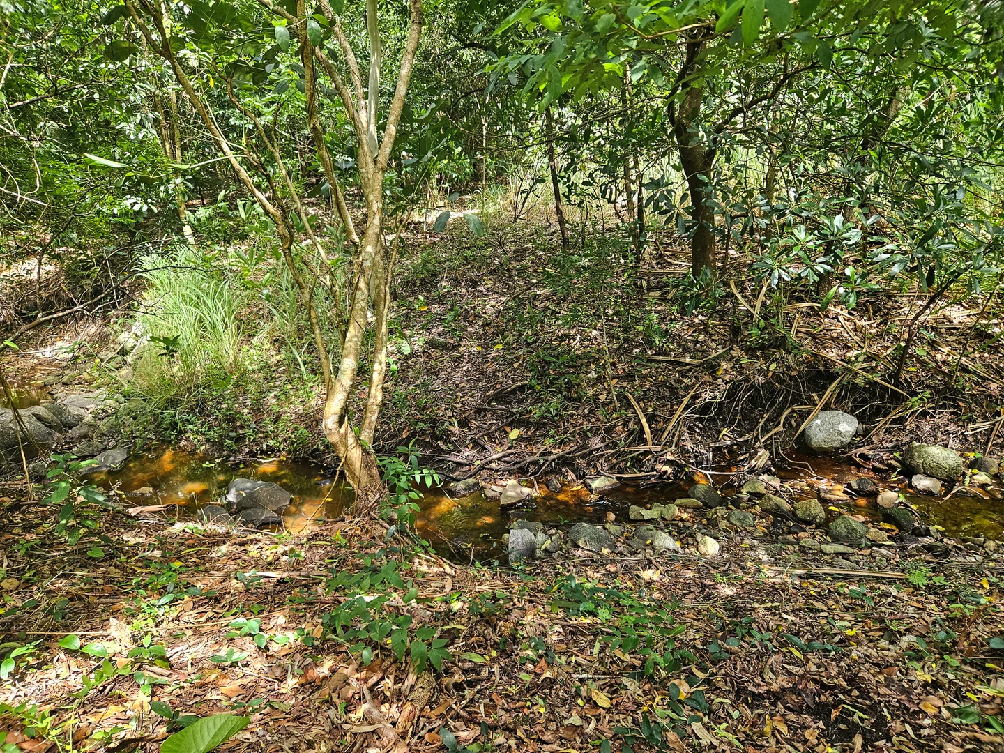 Image 9