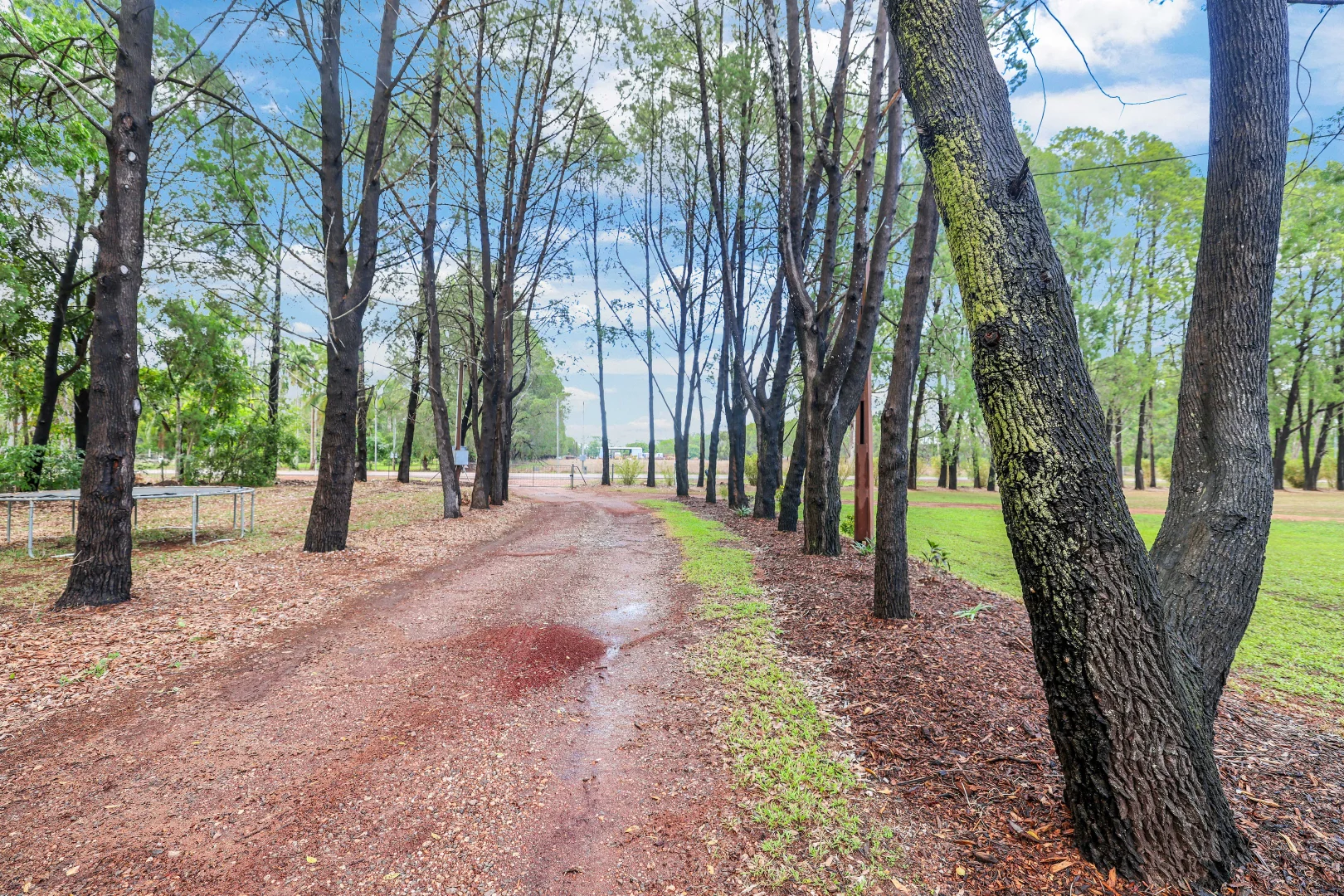 70 Hillier Road, Howard Springs NT 0835 | Domain