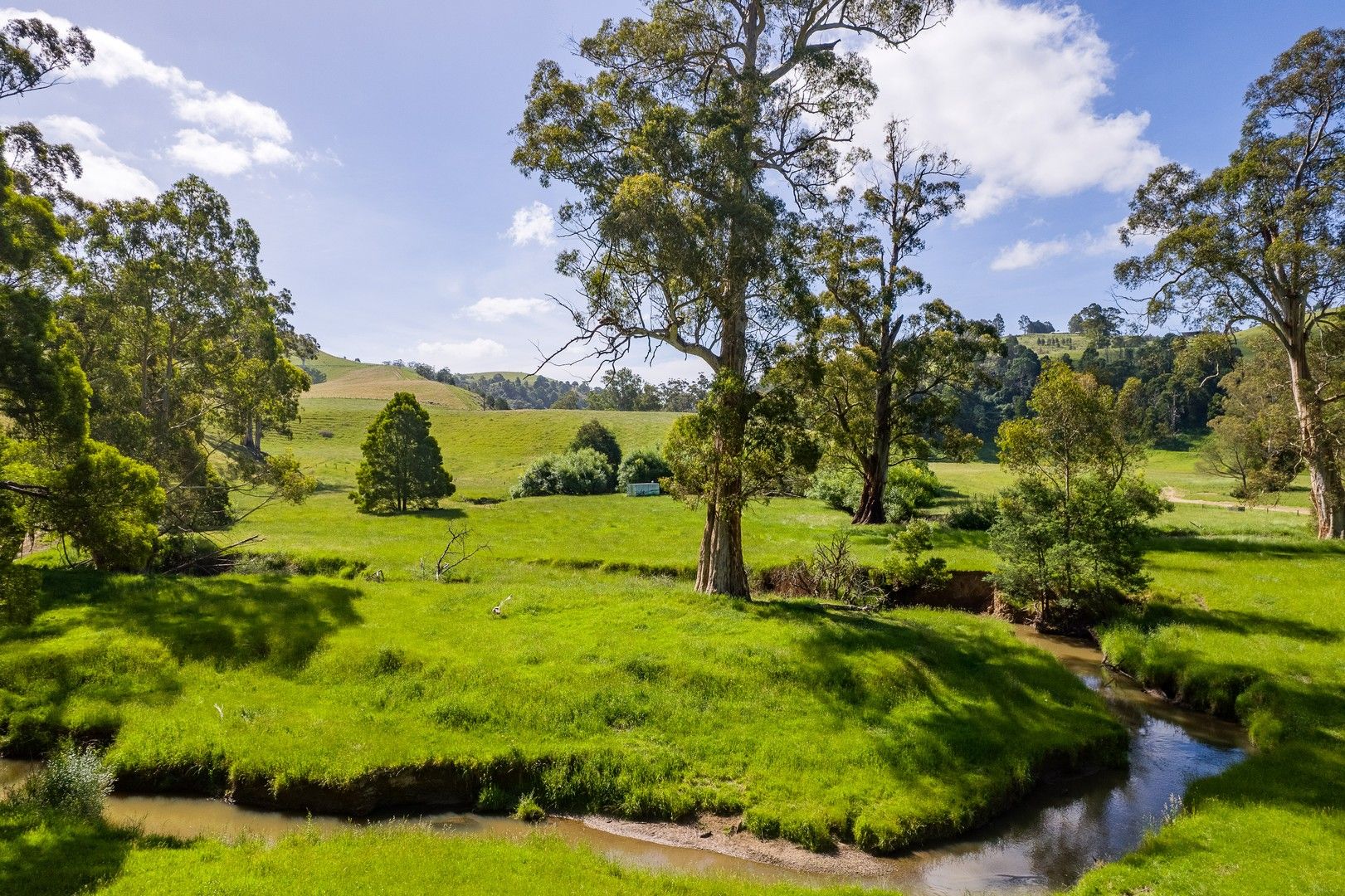 1835 Wild Dog Valley Road, Strzelecki VIC 3950, Image 1