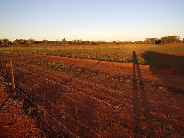 * Gilgunnia Station, Cobar NSW 2835, Image 1