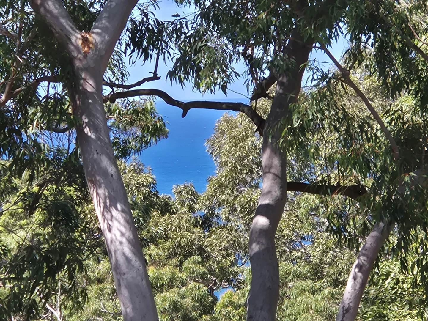 Additional image 16 of 44 The Outlook, Bilgola Plateau NSW 2107