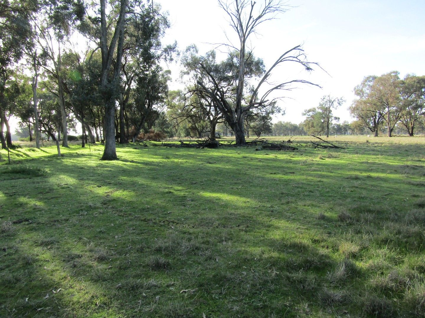 Lot 2/1400 Lilliput-Norong Road, Norong VIC 3682, Image 1