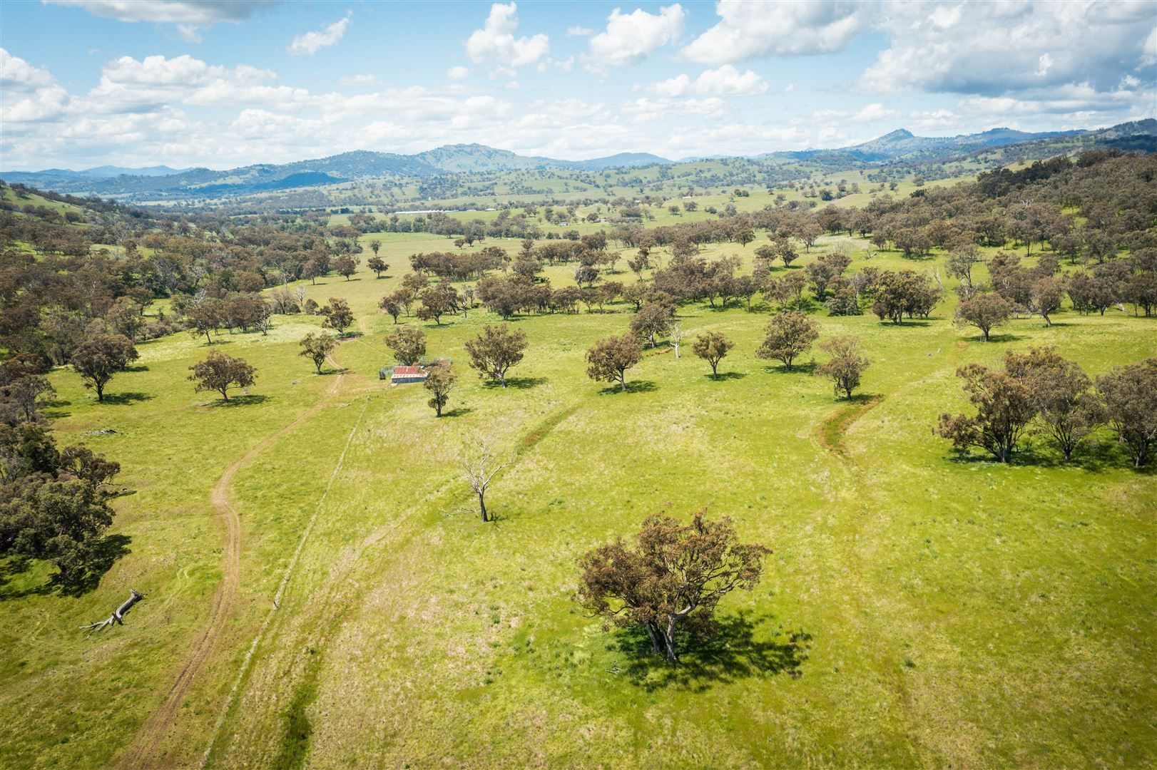 'Warrahdale' 413 Presses Road, Willow Tree NSW 2339, Image 0