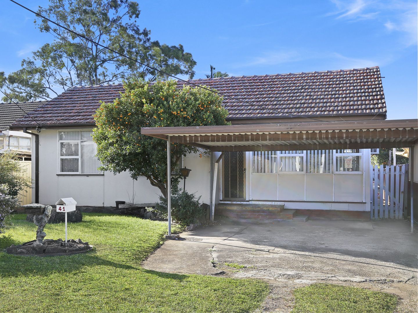 41 Rosedale Street, Canley Heights NSW 2166, Image 1