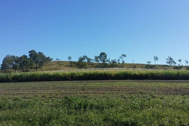 Picture of 50 Dunwold-Cattle Creek Road, GARGETT QLD 4741