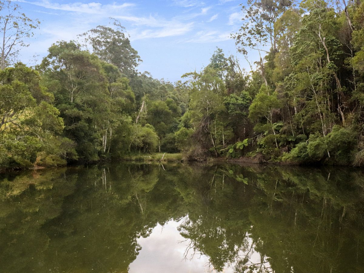 274 Schultz Road, Billy Creek, Dorrigo NSW 2453, Image 1