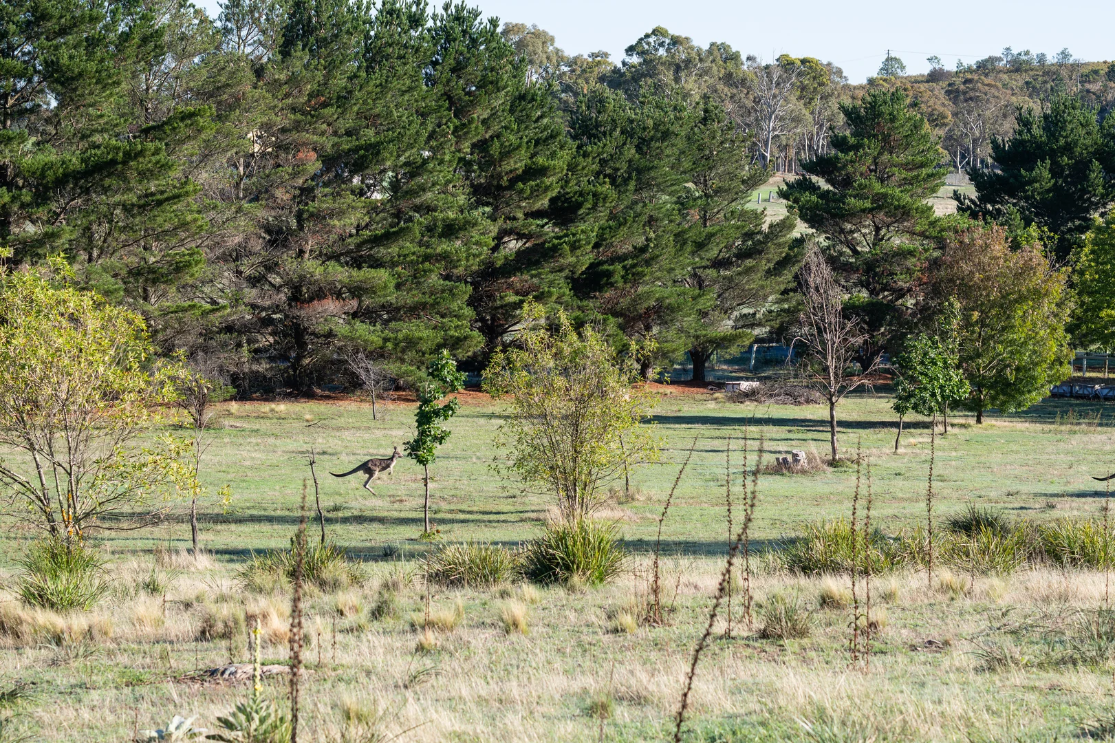 Additional image 37 of 125 Donnelly Road, Bywong NSW 2621