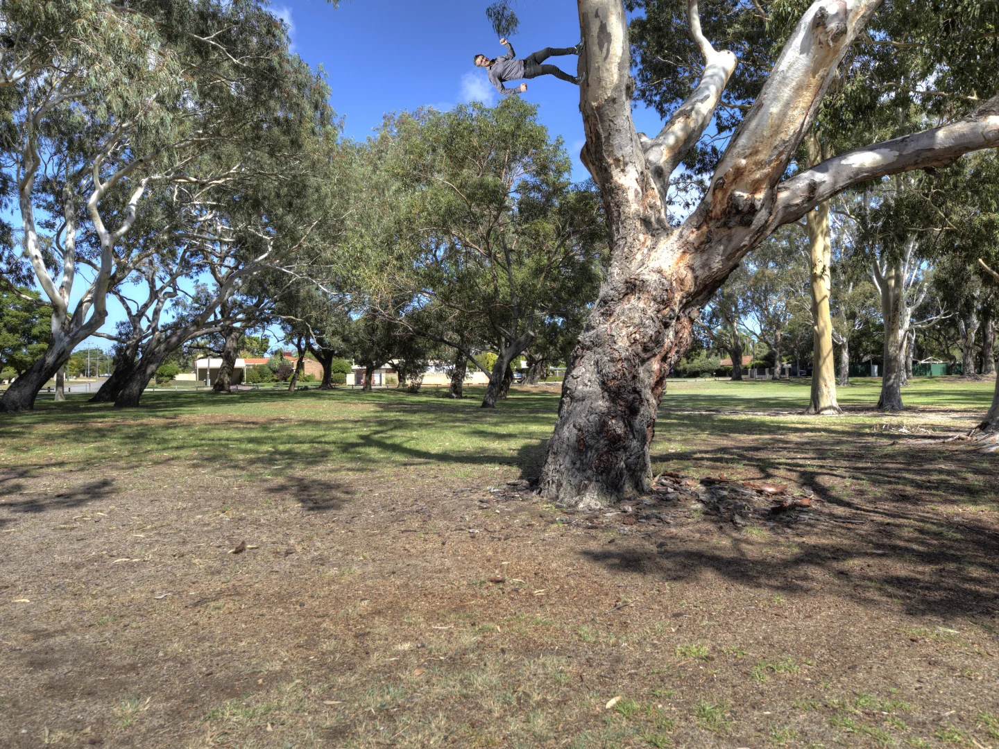 Additional image 33 of 37 Akebia Way, Forrestfield WA 6058