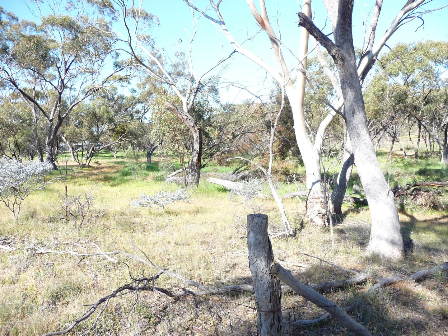 48-51 Railway Parade, Greenhills WA 6302, Image 1