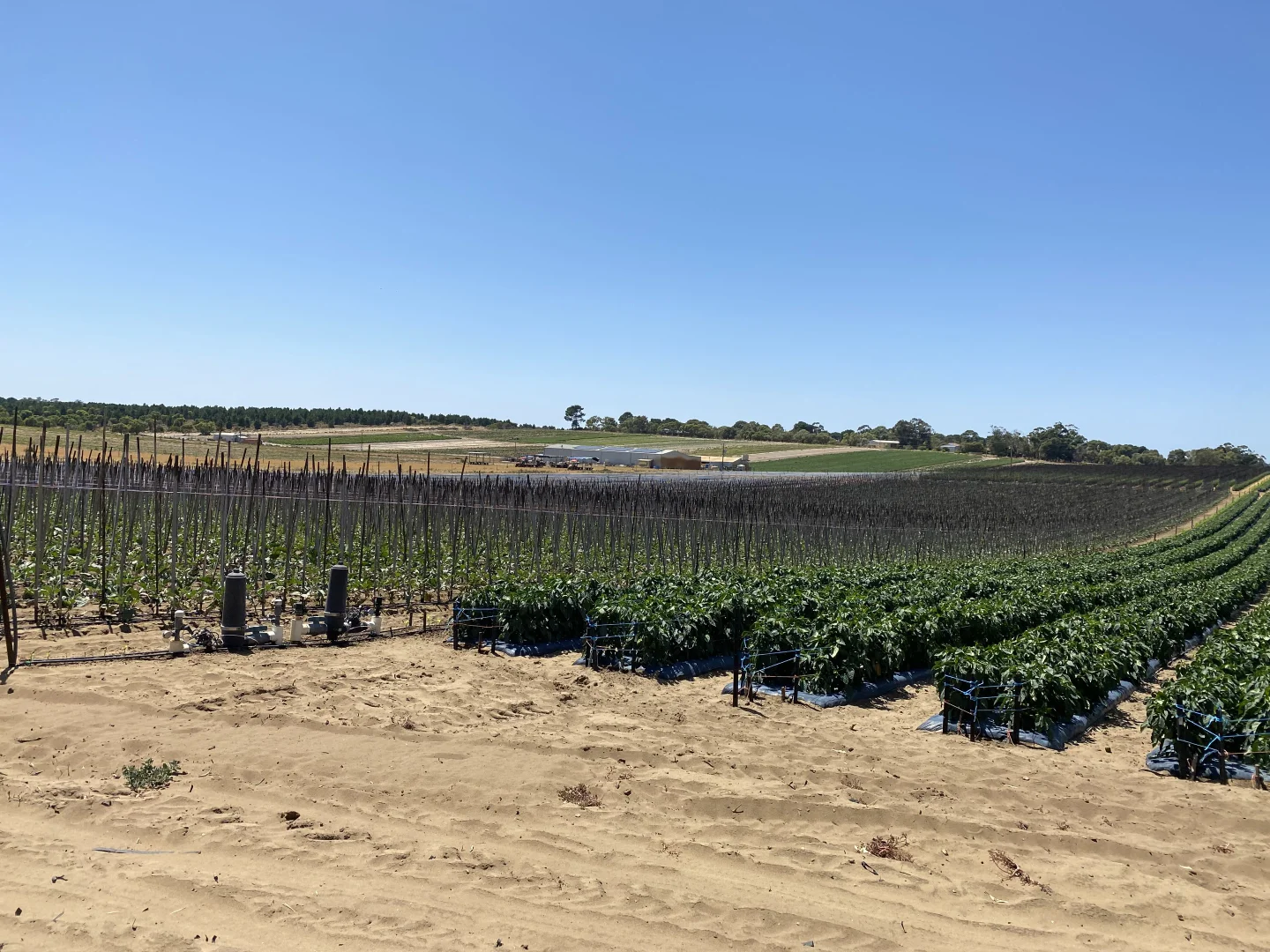 Additional image 27 of 440 Old Yanchep Road, Carabooda WA 6033