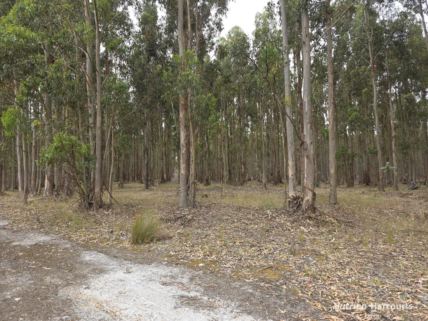 Image 9