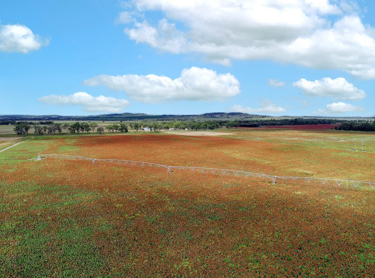 Additional image 22 of 2330 Dalby Cooyar Road, Kaimkillenbun QLD 4406