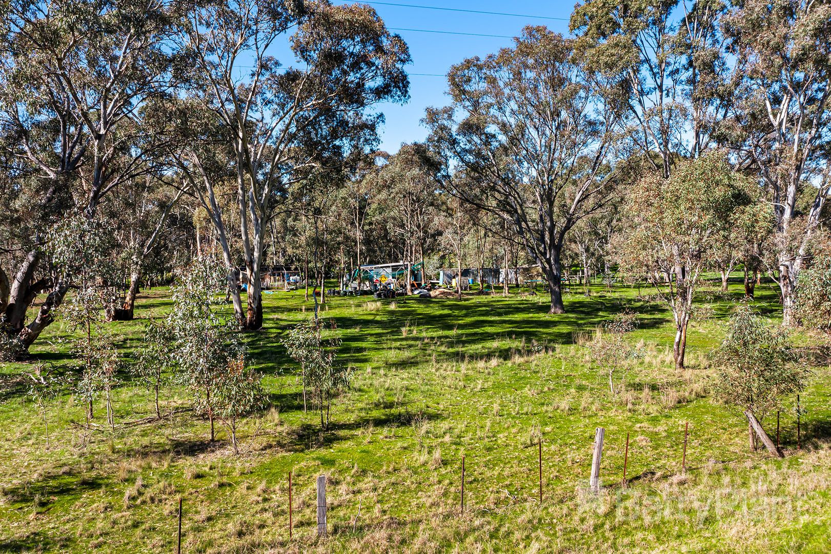 1201 Dunolly - Timor Road, Timor VIC 3465, Image 2