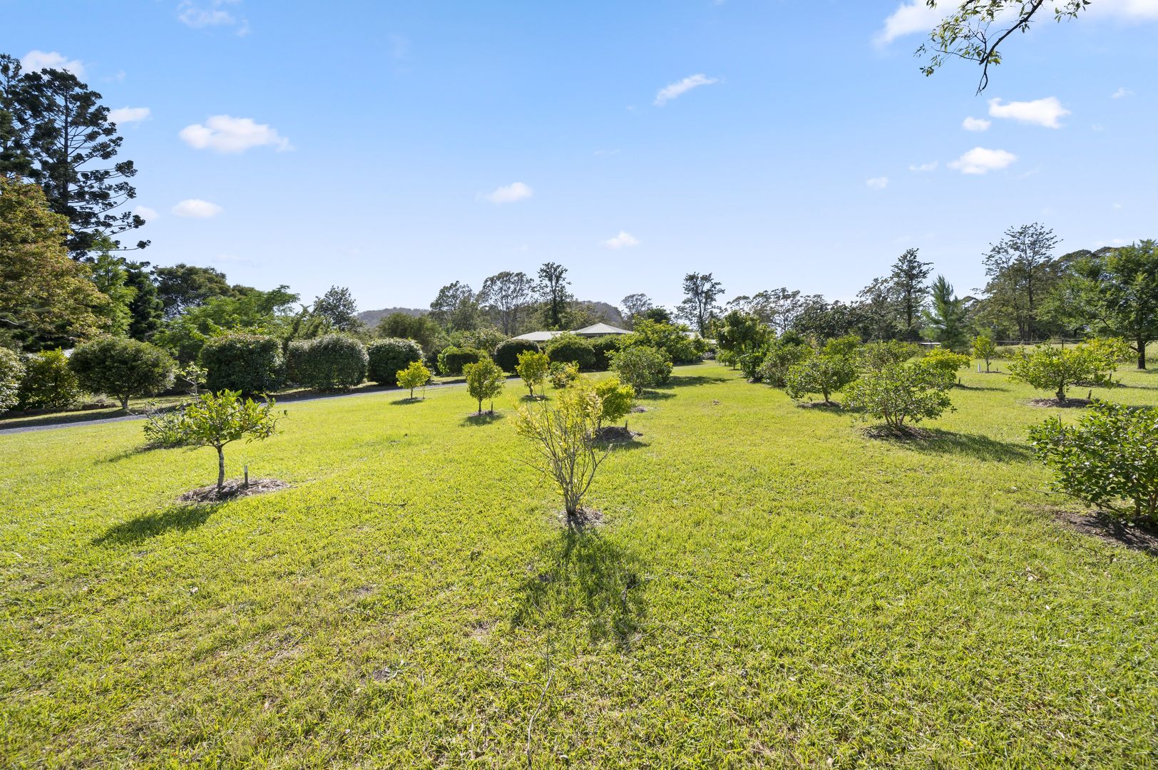 39 East Bank Rd, Glenreagh NSW 2450, Image 2