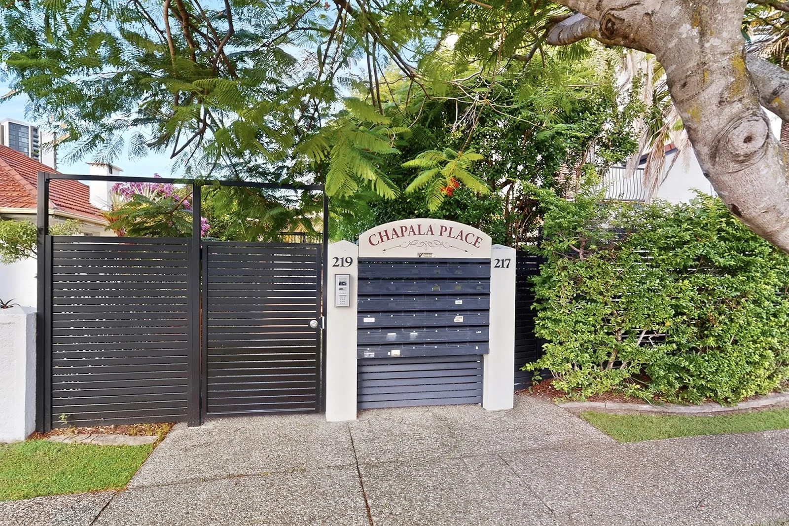 Image 19