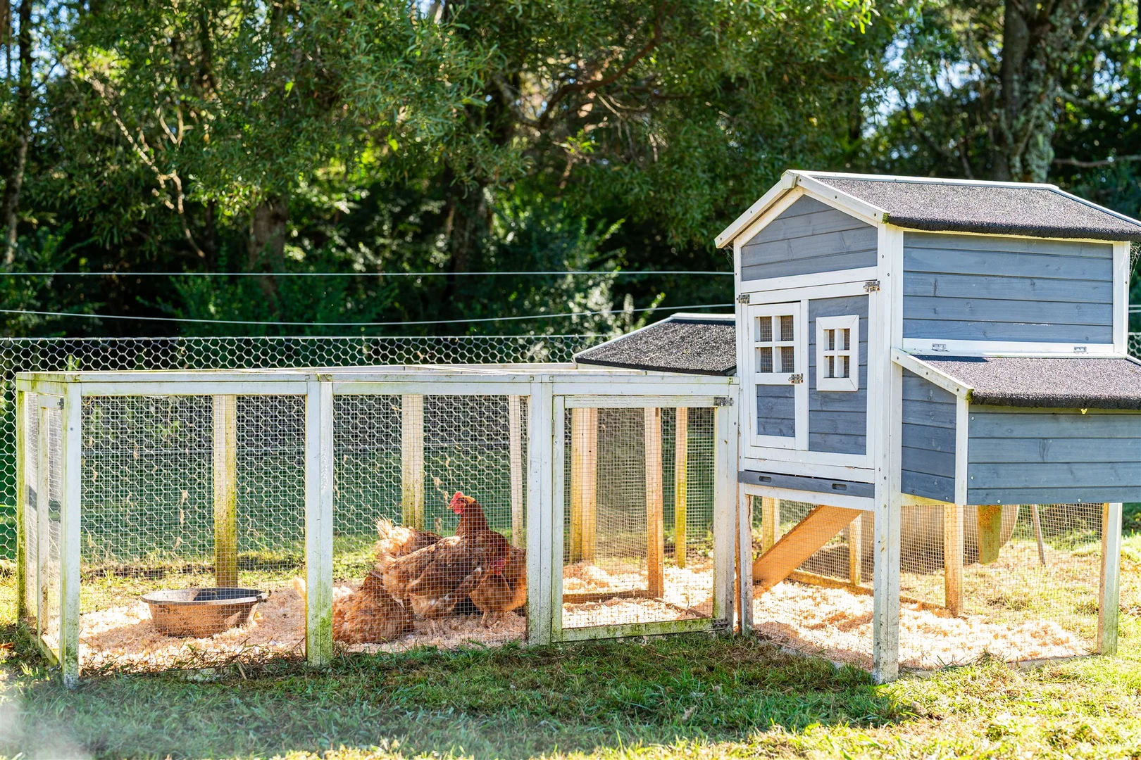 Additional image 23 of 4 Cottee Close, Robertson NSW 2577