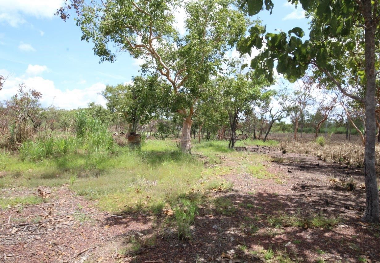 7783 Stuart Highway, Adelaide River NT 0846, Image 2