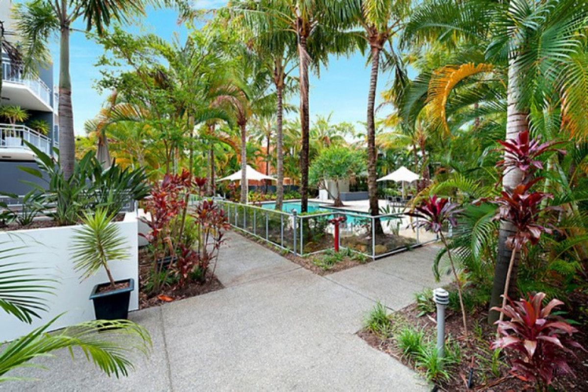 9 13 23 Bright Avenue Labrador Qld 4215 Domain