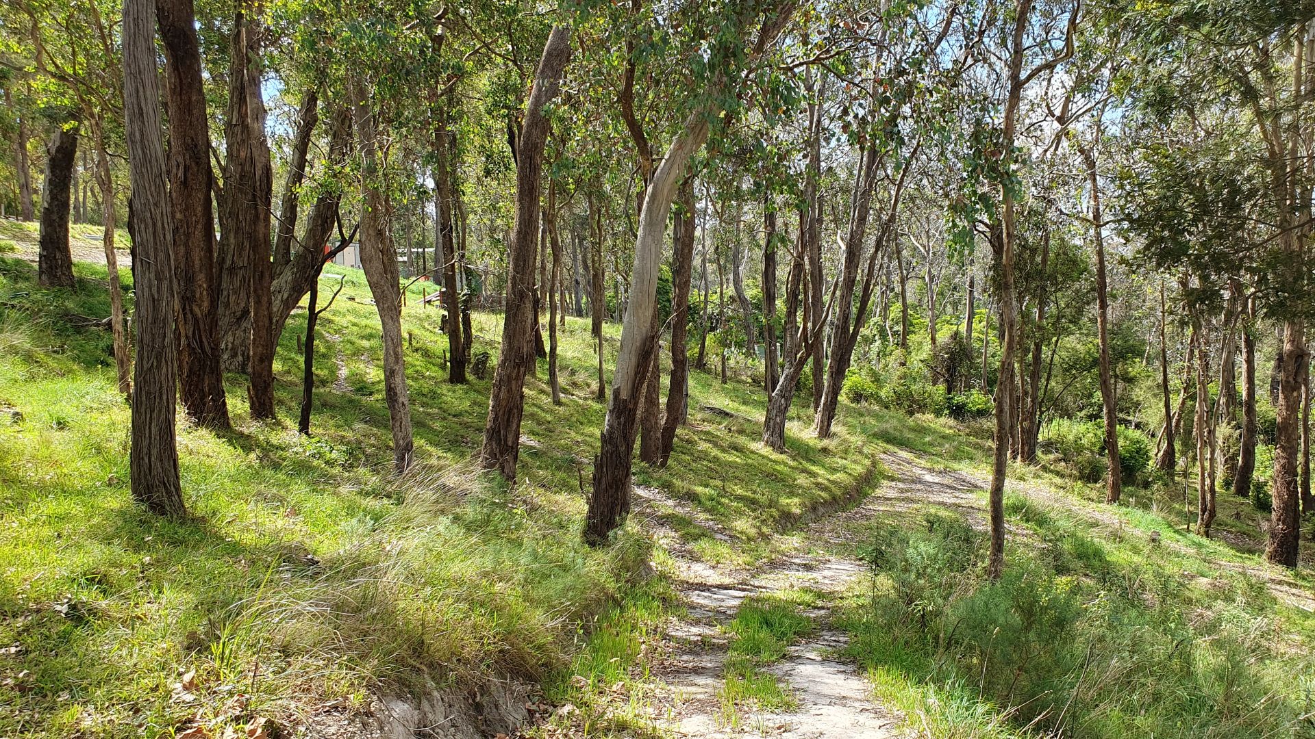 55 Bradys Road, Tyers VIC 3844 Vacant Land for Sale 430,000