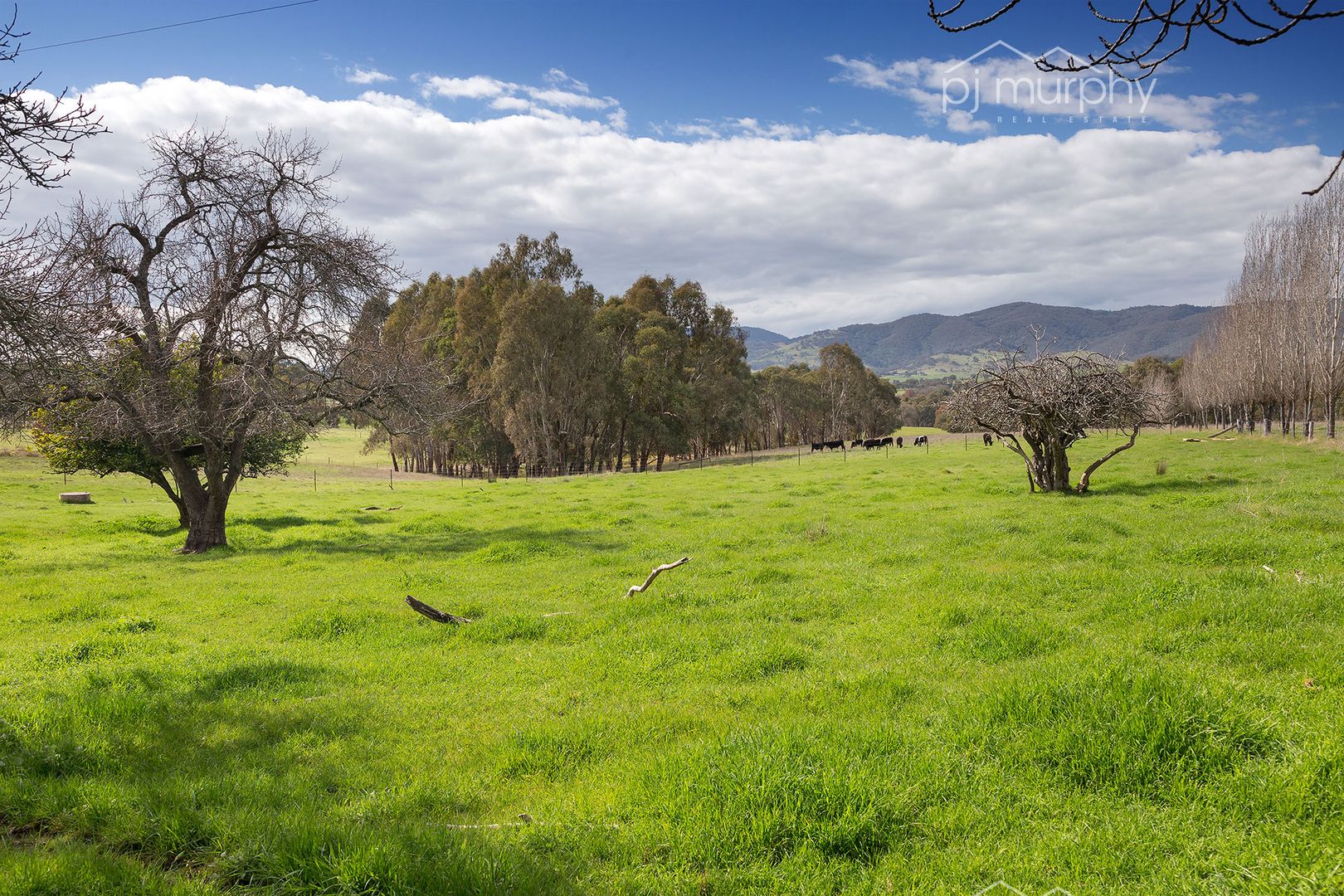 Lot 5 Osbornes Flat Road, Yackandandah VIC 3749, Image 2