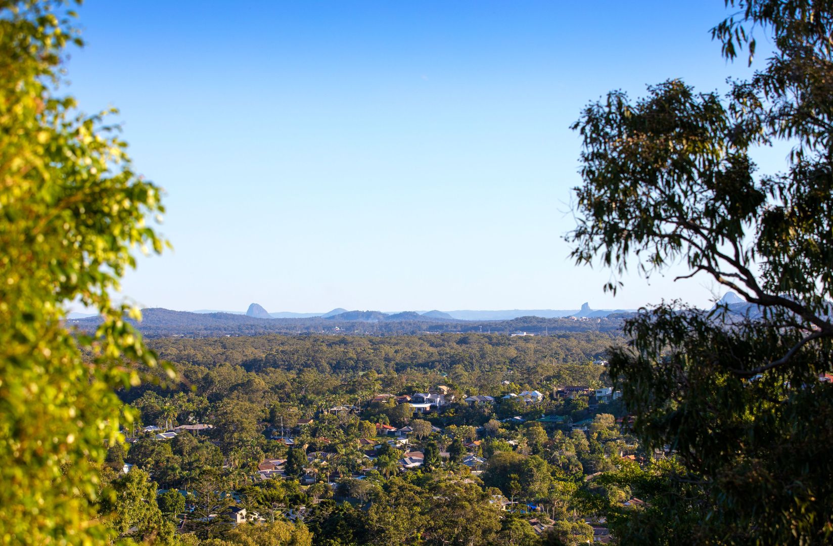 12 Curlew Lane, Buderim QLD 4556, Image 2