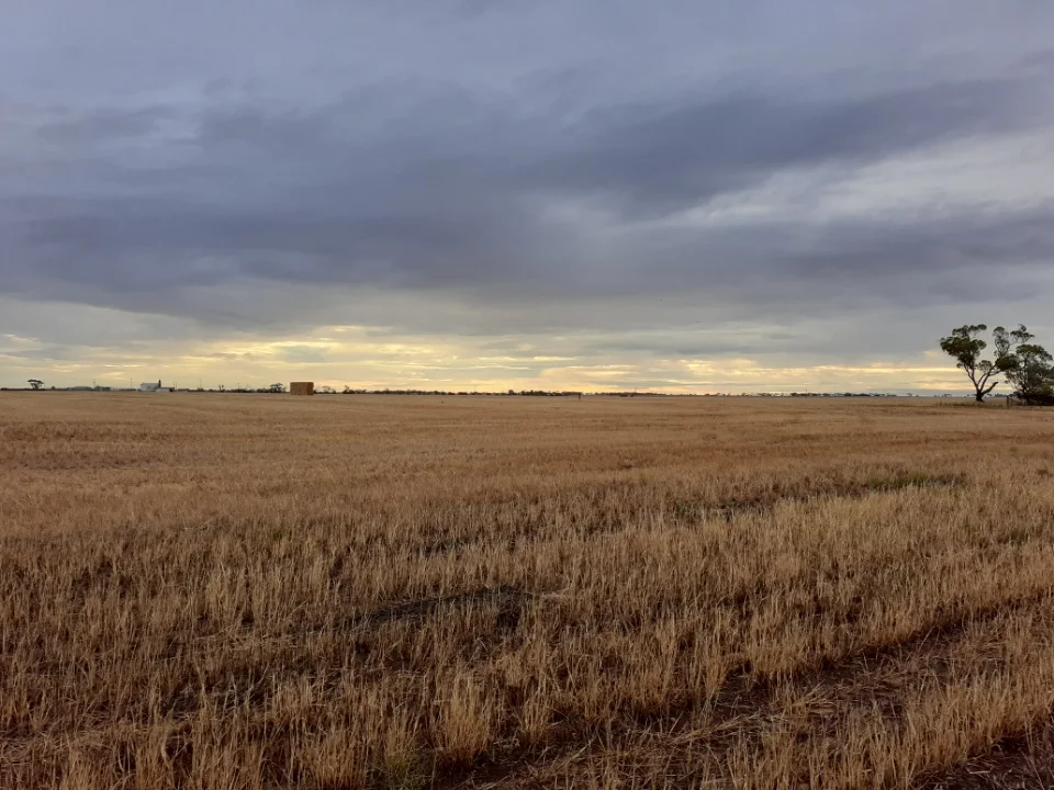 Image 8
