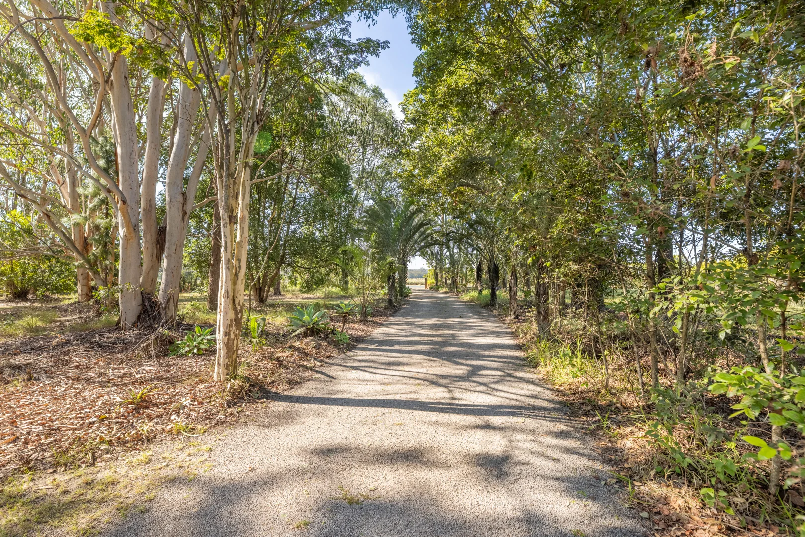 Additional image 35 of 279 Newlands Road, Wamuran QLD 4512